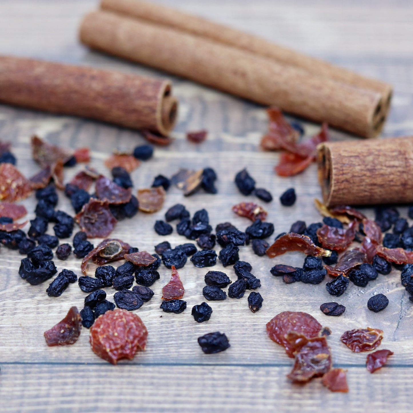 Elderberry Cider Kit DIY infusion Kit