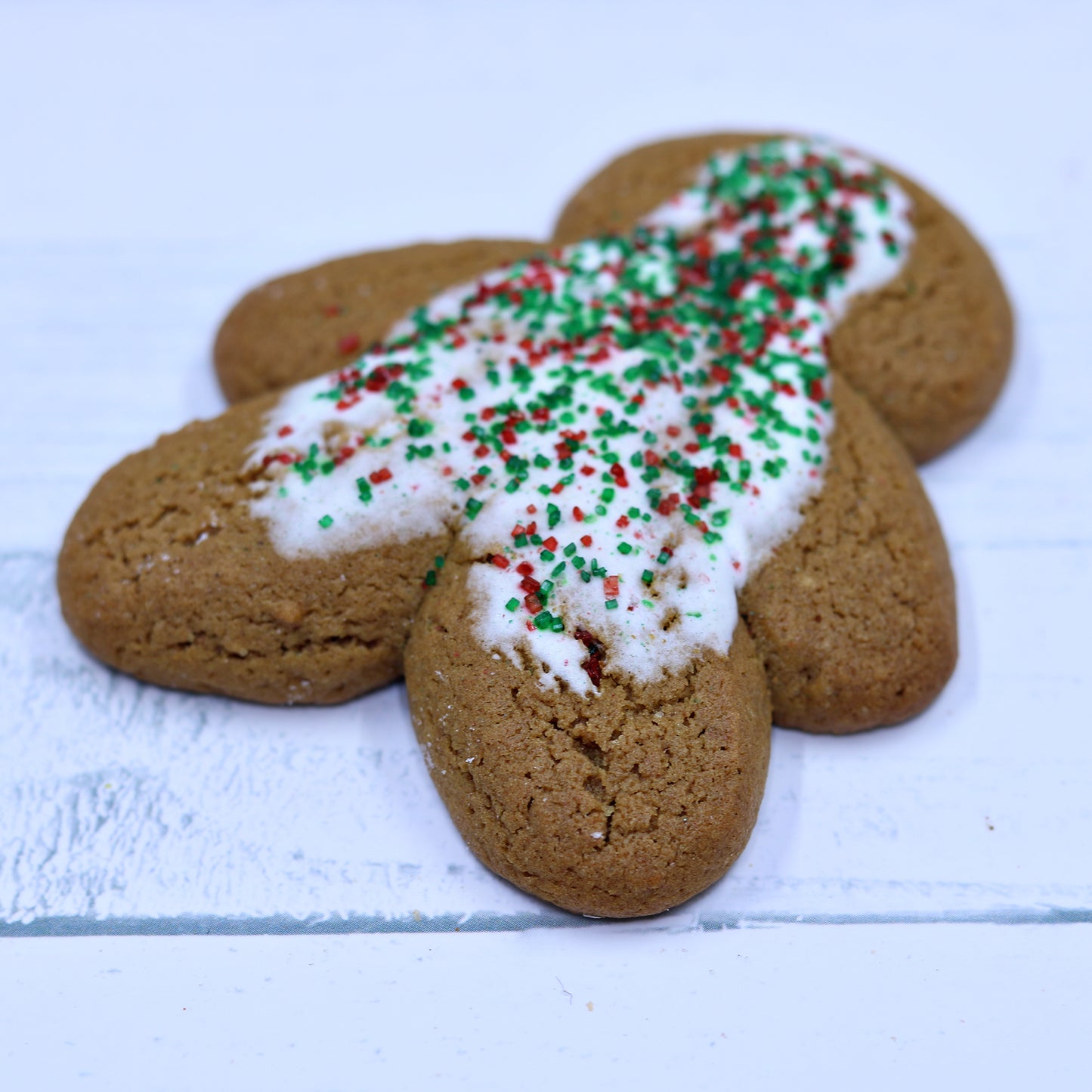 Freeze Dried Gingerbread Man Cookie