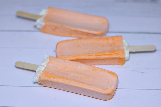 Freeze Dried Orange Vanilla Cream Popsicles (3 Pack)
