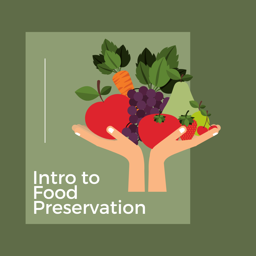 Intro to Food Preservation